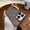 Gray, variant on Nalacover Glitter Clear Case for iPhone 14 Pro Max, Cute Sparkly Bling Translucent Electroplated Lens Frame Protection Slim Rugged Shockproof Anti-Scratch Non-Yellowing Cover for Women Girls,Gray