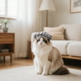 thumbnail image 3 of Stylish French Artist Pet Hat Adjustable Baseball Cap for Dogs and Cats Party Celebration Accessory, 3 of 4