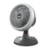 Jarden Holmes Blizzard 10 in 3-Speed Oscillating Table Fan