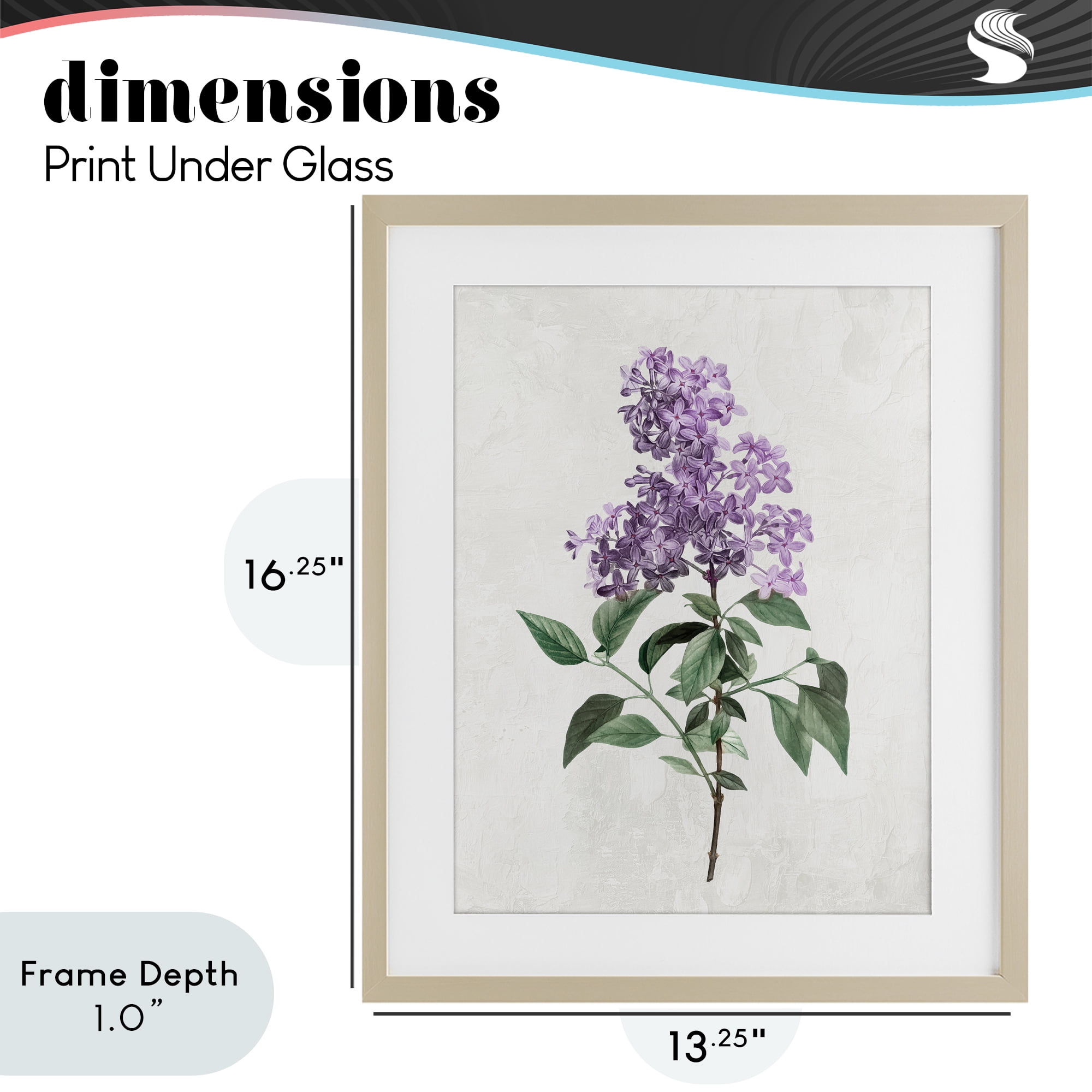 Stupell Industries Lilac Herb Blossoms Birch Framed Print Under Glass, design by Kim Allen