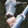 thumbnail image 4 of Nevlers Natural Himalayan Salt Licks for Horses / Deer/ Cows and Other Livestock - Ropes Included, 4 of 8