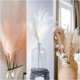 thumbnail image 5 of 30PCS Decoración de hierba de pampas falsa 24" Tallos de hierba artificial esponjosa Flores secas falsas moradas, 5 of 6