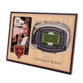 thumbnail image 1 of YouTheFan 9026365 NFL Chicago Bears 3D StadiumViews Picture Frame - Soldier Field, 1 of 4