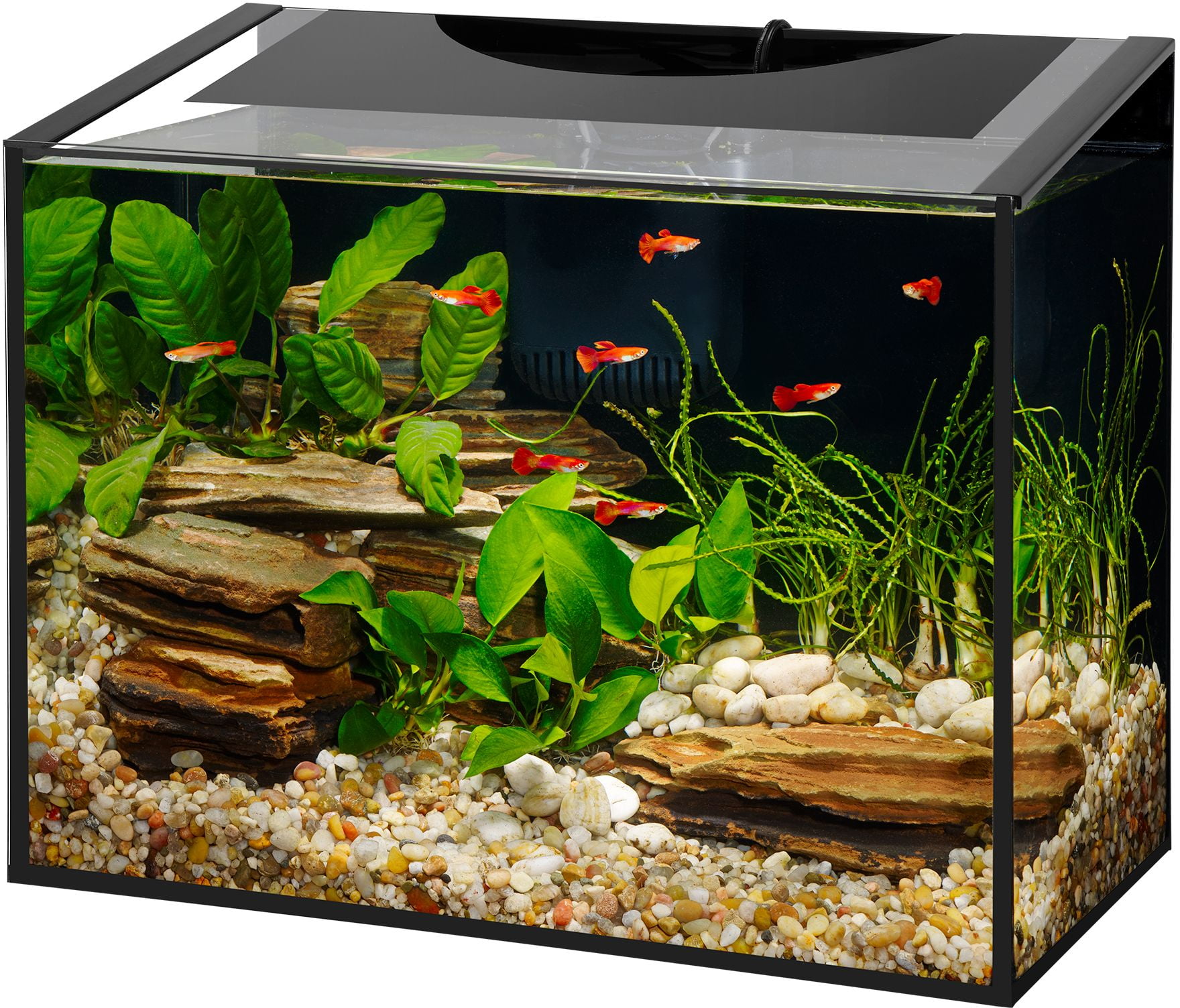 rimless aquarium kit