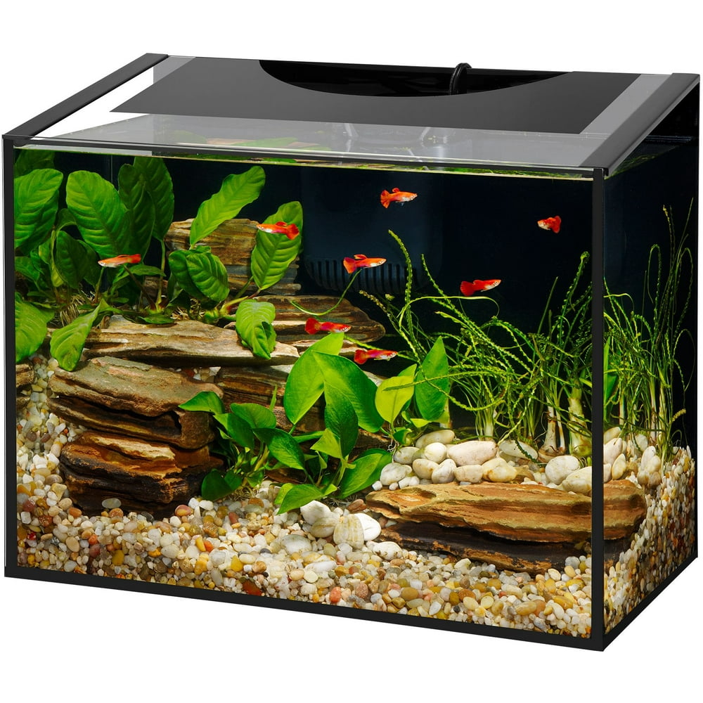 Aqueon Ascent 10 Gallon Frameless Led Aquarium Kit 18.75" x 10" x 15.75