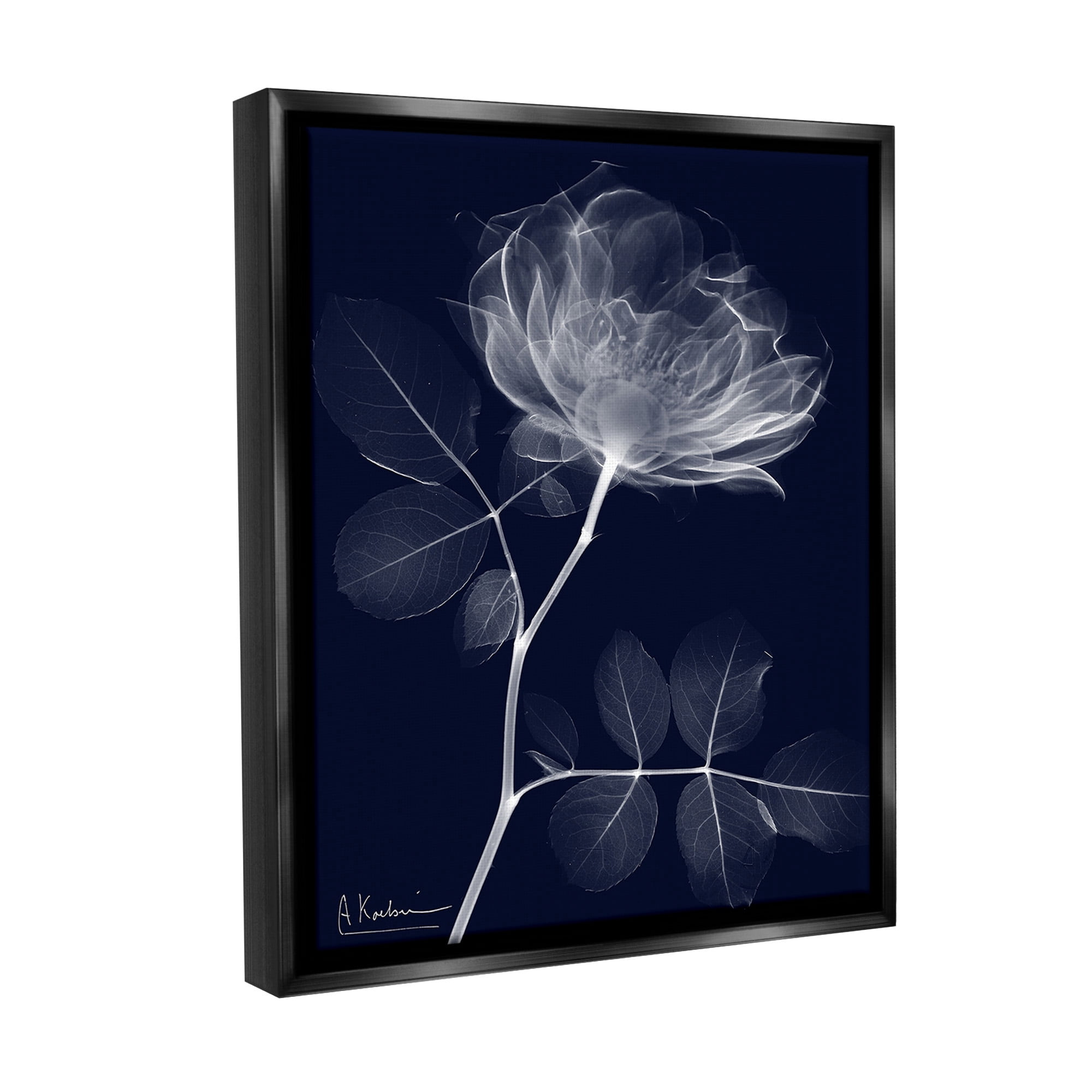 Stupell Industries Dynamic Dark Flower Botanical & Floral Photography Black Floater Framed Canvas Art Print Wall Art, 17 x 21