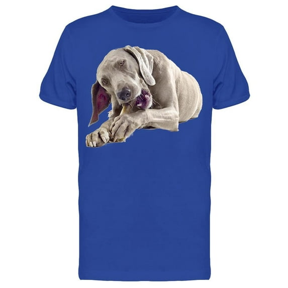 Weimaraner Chews A Boen T-Shirt Men -Image by Shutterstock, Male XX-Large