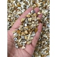 thumbnail image 3 of WHOLESALE Natural Semi Tumbled Fossil Coral Gemstone Chips, Fossil Coral Crushed Mini Crystals, Undrilled (Fossil Coral, 0.5 Pound), 3 of 8