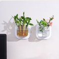 thumbnail image 6 of Organization and Storage QTOCIO Wall Mounted Storage Box Invention Transparent Hydroponic Plant Fish Tank Flowerpot Plastic Office Living Room Wall Storage Casket, 6 of 6