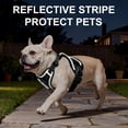 thumbnail image 4 of PayUSD Dog Harness with Leash Cat Harness No Pull Adjustable No Choke Pet Vest for Small Dogs Cats, 4 of 9