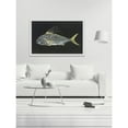 thumbnail image 5 of Marmont Hill "Roosterfish" by Warren Sellers Framed Painting Print, 5 of 5