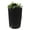 Black, variant on Good Ideas Impressions Bark 50 Gallon Rain Saver - Dark Granite