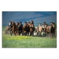 thumbnail image 3 of 21 x 14 Montana Thunder by Lisa Dearing - Wall Art Print on Canvas Fabric White, 3 of 3