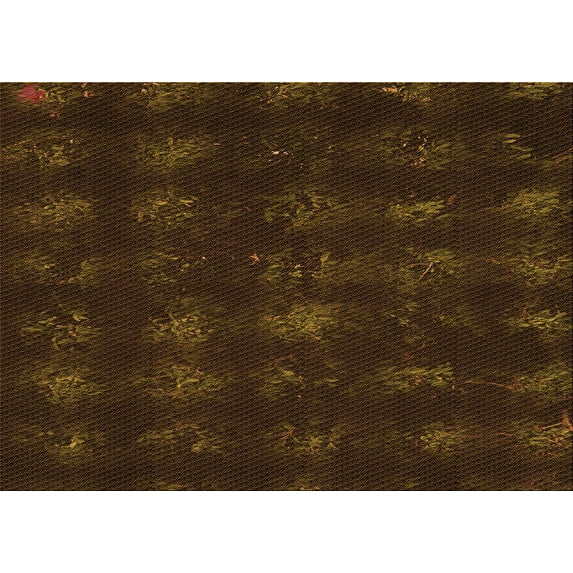 Ahgly Company Indoor Rectangle Patterned Dark Bronze Brown Area Rugs, 5' x 7'