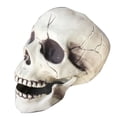 thumbnail image 7 of Hevirgo Creepy Plastic Open Mouth Skull Skeleton Haunted House Decor Halloween Prop, 7 of 7