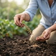 thumbnail image 4 of Grand Lot de Graines de Jardin de Tomates Rouges, Trousse de Germination de Légumes Patrimoniaux, Démarrage de Culture Autosuffisant pour la Récolte de Plantation à l'Extérieur et à la Maison, 4 of 6
