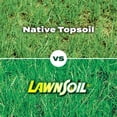 thumbnail image 6 of Scotts Turf Builder Soil Fertilizer, 1.5 cu. ft. with Lawn Repair, 6 of 12