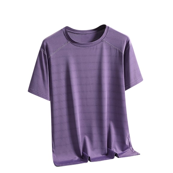 Men's Lightweight Tee Round Neck Short Sleeve Breathable T-Shirt Summer Casual Sports Fitness Tops ,Purples,L