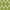 Light Green, variant on Unique Loom Trellis Collection Area Rug - Philadelphia (2' 7" x 19' 8" Runner Brown/Beige)