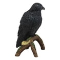 thumbnail image 3 of Ebros Gothic Raven Crow Perching On Tree Branch Scavenger Bird Figurine 5.75" H, 3 of 6