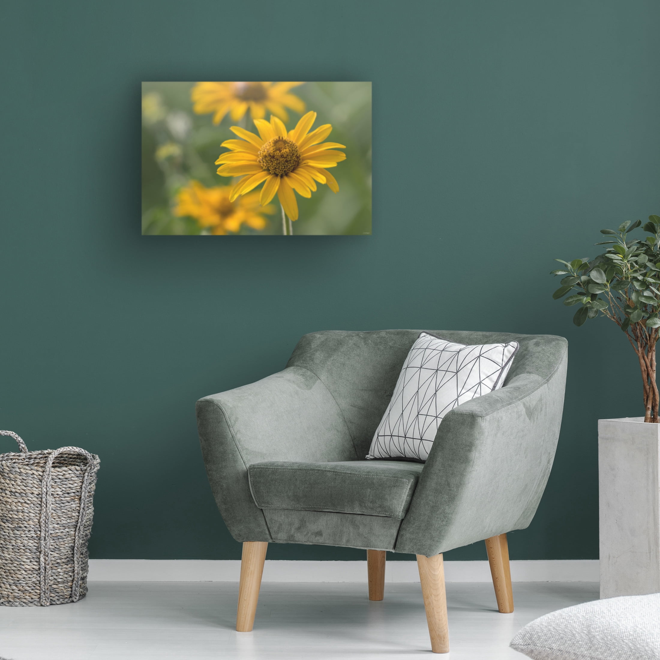 Canvas Wall Art - Gordon Semmens 'Textures 14' Wall Art for Living Room, Bedroom, or Office Décor by Trademark Fine Art - 19 x 12 Inches