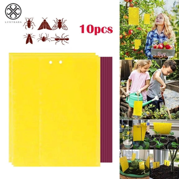 Luxtrada 10Pcs Sticky Fly Trap Paper Yellow Traps Fruit Flies Insect Glue Catcher Best