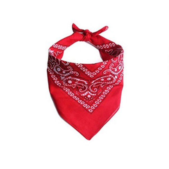 FTsdfkl Western Cowboy Style Pet Bandana, Vintage Paisley Print Triangle Dog Cat Scarf, Knotted Collar Accessory for Birthday Party, Daily Walking & Pet Dress-up,13.5CM