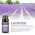 thumbnail image 3 of PHATOIL 6pcs Essential Oils Set for Diffusers Humidifier 100% Pure,for Massage Bath Sleep (10ml), 3 of 12