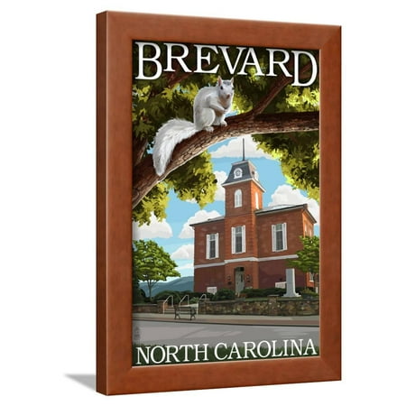 Brevard, North Carolina - Courthouse and White Squirrel Framed Print Wall Art By Lantern