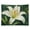 White Lily Green Background, variant on White Lily Green Background Wall Tapestry Decorative, Aesthetic Fabric Wall Hanging Art for Bedroom Living Room Dorm, Durable & Lightweight Wall Decor with Hanging Kit 30"×40"