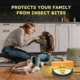 thumbnail image 3 of Aspectek Sticky Dome Flea and Bed Bug Trap – Orange & Dark Grey (2-Pack) – Bed Bug, Flea Bed Bug Trap, Bed Bugs, 3 of 7