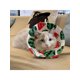 thumbnail image 4 of Cat Recovery Collar, Lightweight Pet Elizabeth Collar Cute Design 2 Different Sizes Measure First, 4 of 4