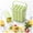 green-12 grids, variant on Silicone Ice Stick Tray with Storage Caddy,Ice Cream Mold Tray Set with Storage,6/12 Cavity Silicone Ice Stick Set,for Frozen Treats & Cocktails