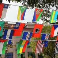 thumbnail image 2 of Bandera de cuerda de 100 países, banderín de banderines internacionales Banner, decoración para gran inauguración, bar deportivo, eventos de fiesta - 82 pies 100 banderas QDR, 2 of 2