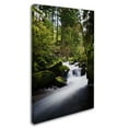 thumbnail image 3 of Trademark Fine Art "Waterfall in the Forest" Canvas Art by Philippe Sainte-Laudy, 3 of 4