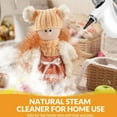 thumbnail image 2 of Handheld High Temperature Steaming Cleaner Kitchen Hood Steam Accessories, 2 of 8