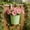 Green, variant on Hanging Pot,Railing Fence Balcony Garden Decor Plant Hangers,Metal Iron Wall Flower Pot,for Outdoor Detachable Hooks Drainage Holes Use