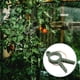 thumbnail image 1 of FUTUREORYY 12Ud Clips Para Plantas Clips Para Fijar Y Soportar De Jardinería, 1 of 8