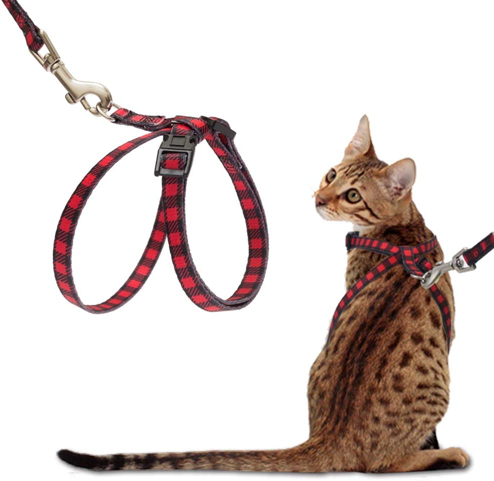 harness and leash set for cats