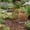 F*36*14.5, variant on Corten Steel Garden Stake Decorative Outdoor Privacy Screen Durable Metal Outdoor Decor Rustic Farmhouse Art Natural Rust Finish Garden Screen Easy Install Garden Privacy Panel Laser Cut Steel Decor