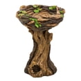 thumbnail image 2 of Plow & Hearth Succulent Bird Nest Tree Stump Birdbath, 2 of 5