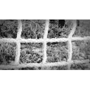Ice Winter Magic Winter Fence Frozen Hoarfrost-20 Inch By 30 Inch Laminated Poster With Bright Colors And Vivid Imagery-Fits Perfectly In Many Attractive Frames