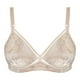 thumbnail image 2 of Brasier Hanes Intima para Mujer Sin Varillas Café Talla 40B, 2 of 4
