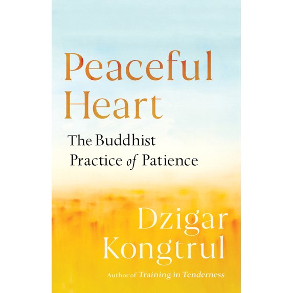 Pre-Owned Peaceful Heart: The Buddhist Practice of Patience (Paperback) 1611804647 9781611804645