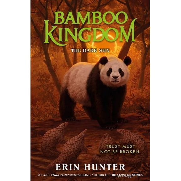Bamboo Kingdom Bamboo Kingdom #4: The Dark Sun, Book 4, (Hardcover)