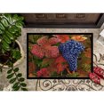 thumbnail image 3 of Carolines Treasures TMTR0151JMAT Grapes Of Joy by Malenda Trick Door Mat Indoor Rug or Outdoor Welcome Mat 24x36 Doormat, 3 of 4
