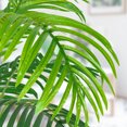thumbnail image 5 of Yesfashion 64.5" Artificial Plant Palm Tree, Realistic Texture Potted Faux Plant for Home Office Indoor Outdoor Decor, 5 of 8