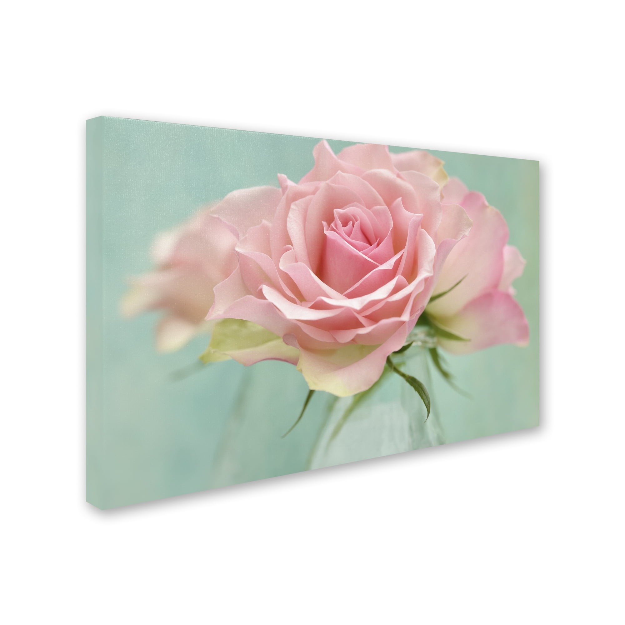 Trademark Fine Art 'Pink Roses' Canvas Art by Cora Niele