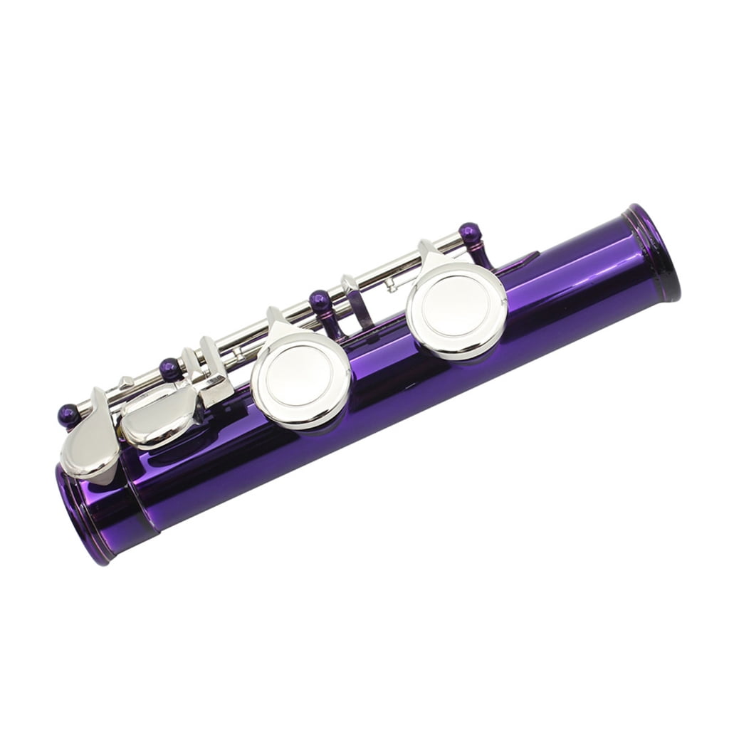 Closed Hole C Flute 16 Keys Flutes Professional Horizontal Flute With Bag Cloth Stick Woodwind Instrument
