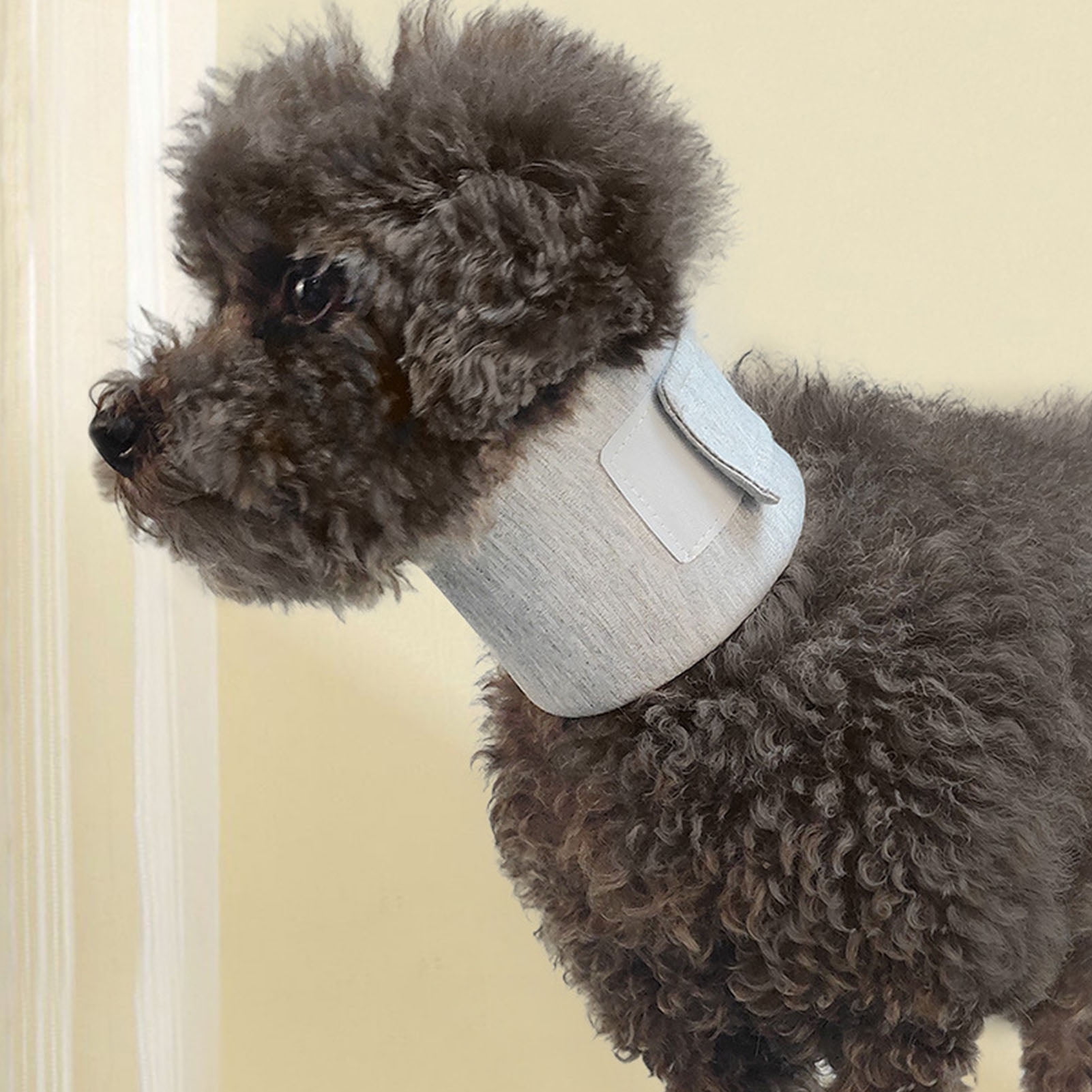 Dog Neck Support Collar, Help Pets Recovering From Vertebral Neck